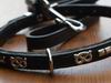 Traditional show collar & lead set