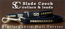 Collars and leads for Staffordshire Bull Terriers