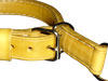 collars and leads specially designed and made for sbt