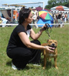 National dog show in Ustro (Poland), July 2008