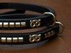 collars and leads specially designed and made for sbt