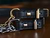 Collars and leashes for bullteriers